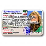 Spare Part: ID-Card 