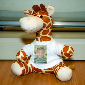Giraffe Eduard 